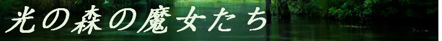 光の森の魔女たち